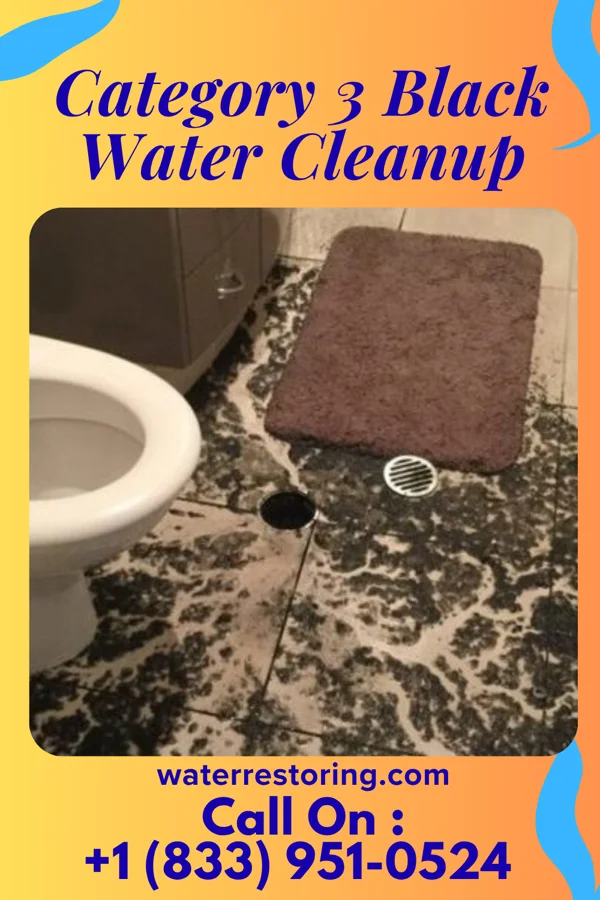 Category 3 Black Water Cleanup in Harrells, NC