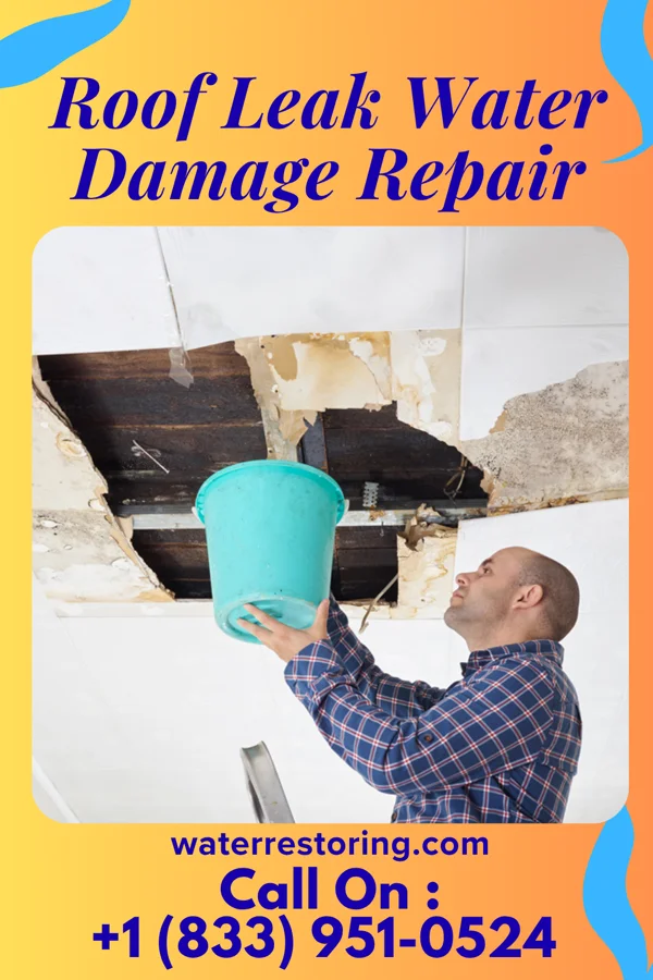 Roof Leak Water Damage Repair in Harrells, NC
